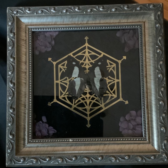 Custom handmade framed real butterfly - Picture 1 of 2